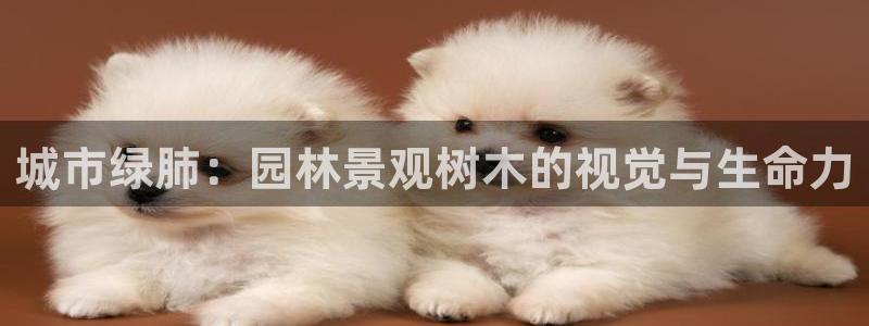 摩根娱乐 总s管50015