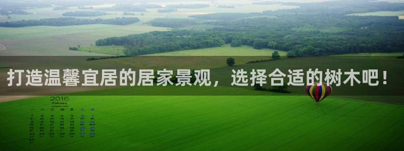 摩根娱乐公会创始人