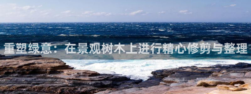 摩根娱乐平台黑