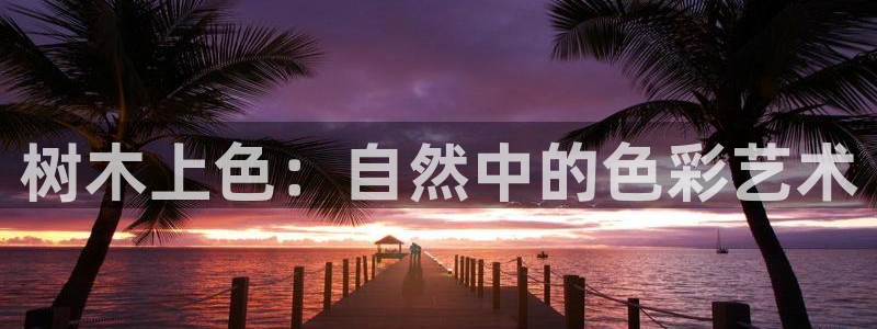 摩根士丹利娱乐银行