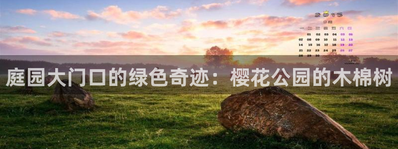 摩根娱乐 c招a商77130