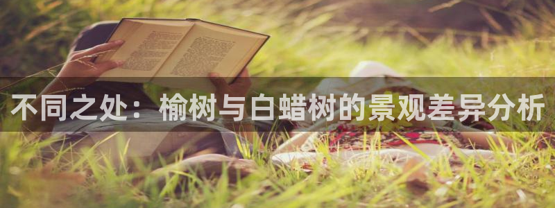 摩根娱乐宝手机客户端