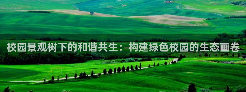 摩根娱乐宝如何提现