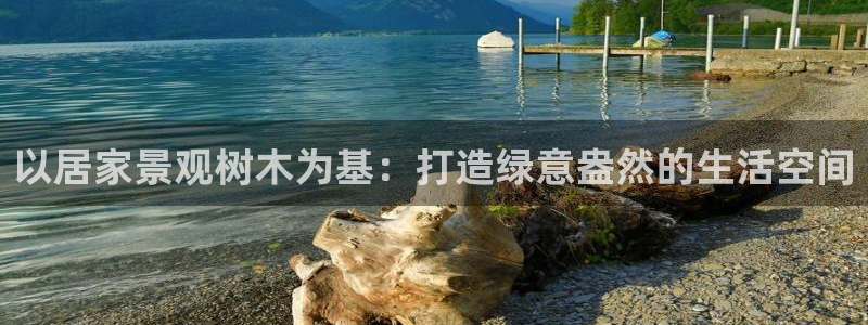 泉州摩根会娱乐张桂花