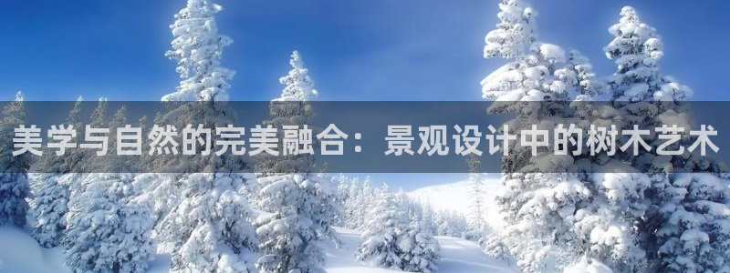 白宫摩根娱乐场所