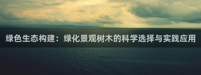 海贼王之娱乐摩根斯