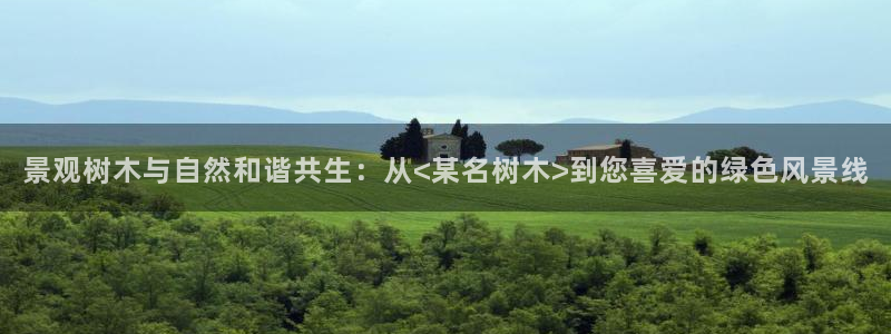 长春拉图摩根娱乐