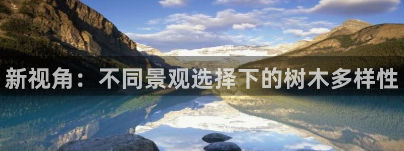 摩根娱乐宝怎么赚钱