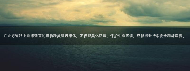 摩根娱乐包是什么意思