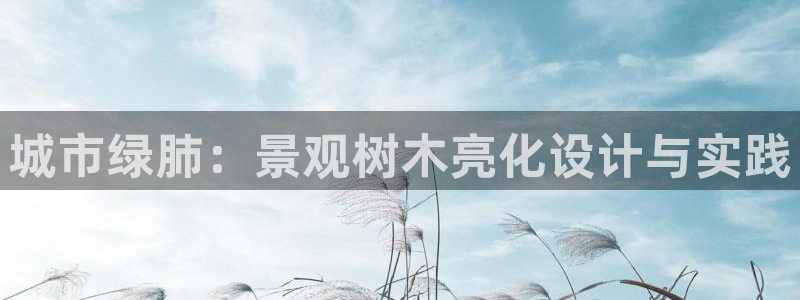 摩根娱乐宝进不去