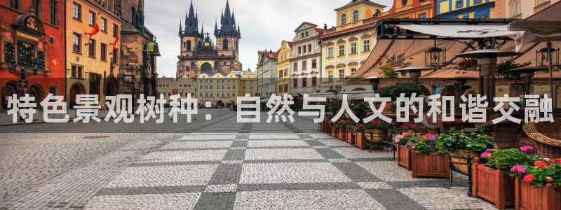 摩根娱乐宝平台下载