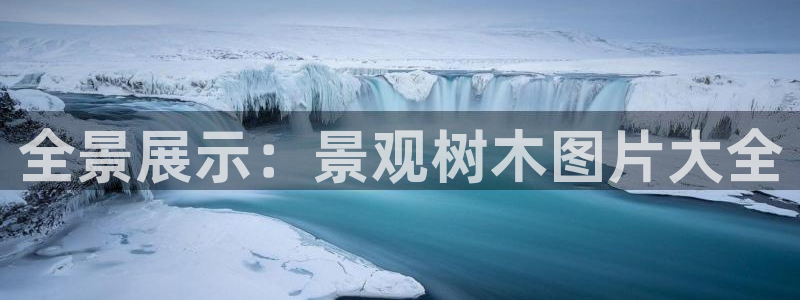 义务摩根娱乐会所