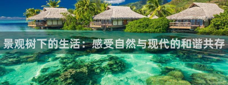 摩根娱乐 实c力77310