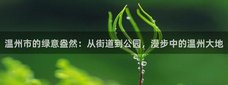 摩根娱乐挂机项目怎么样