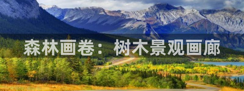 摩根娱乐宝软件下载