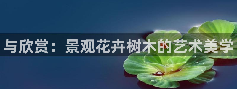 摩根娱乐宝总部