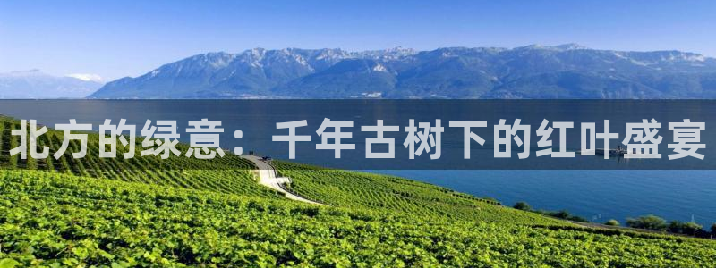 摩根中央公园娱乐