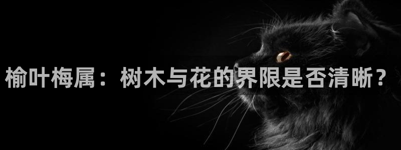 摩根娱乐宝怎么进入