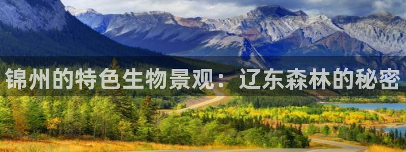 摩根娱乐宝老上不去啊