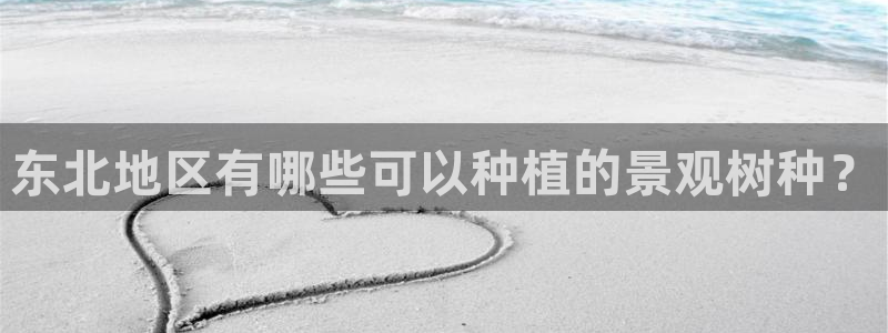 摩根娱乐宝平台