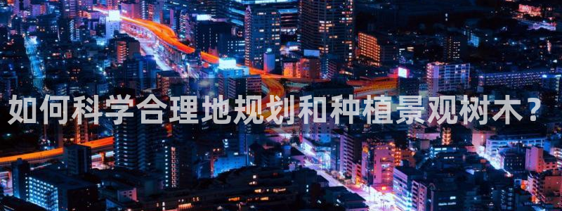 摩根娱乐怎么样