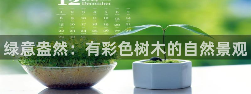 摩根娱乐app：绿意盎然：有彩色树木的自然景观