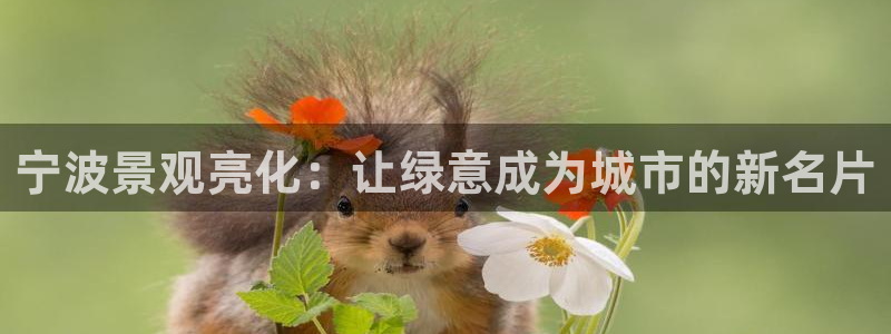 摩根娱乐登录：宁波景观亮化：让绿意成为城市的新名片